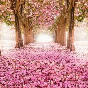 🦋 “Never Ending Path”